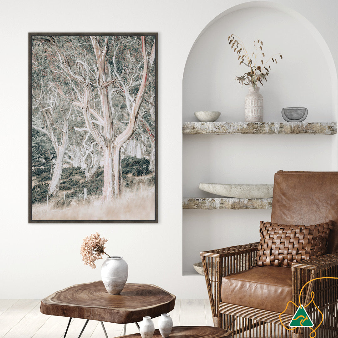 GUM TREES III - Framed Canvas