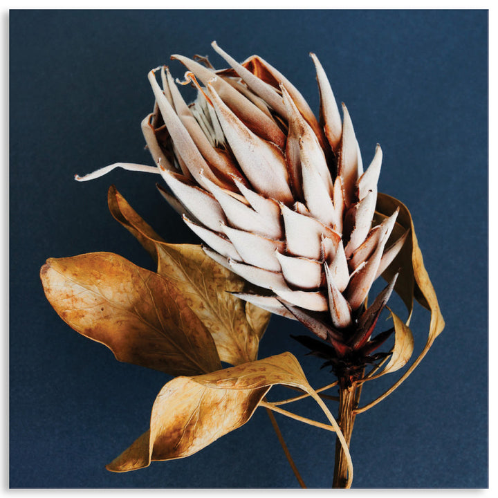 LUXE FLORAL II - Canvas Print