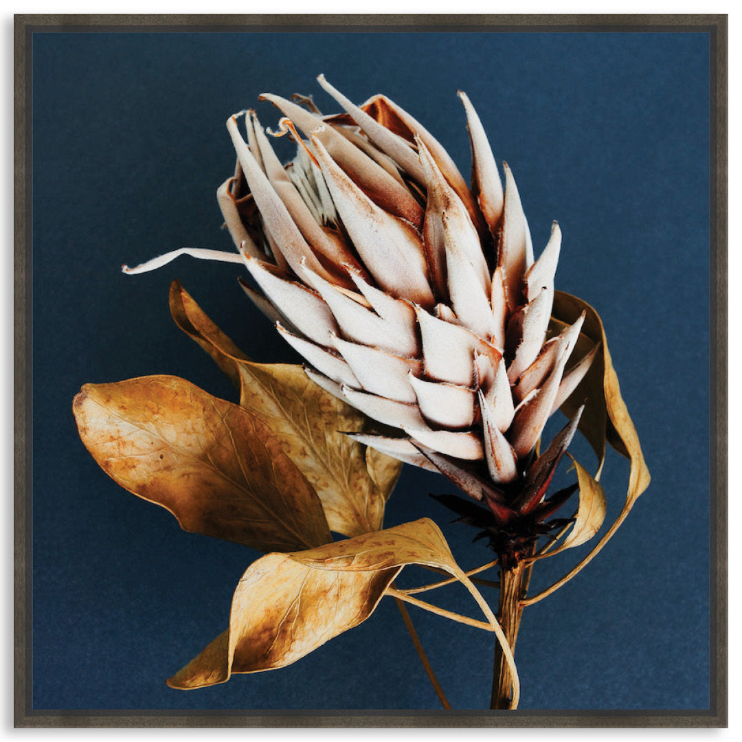 LUXE FLORAL II - Framed Canvas