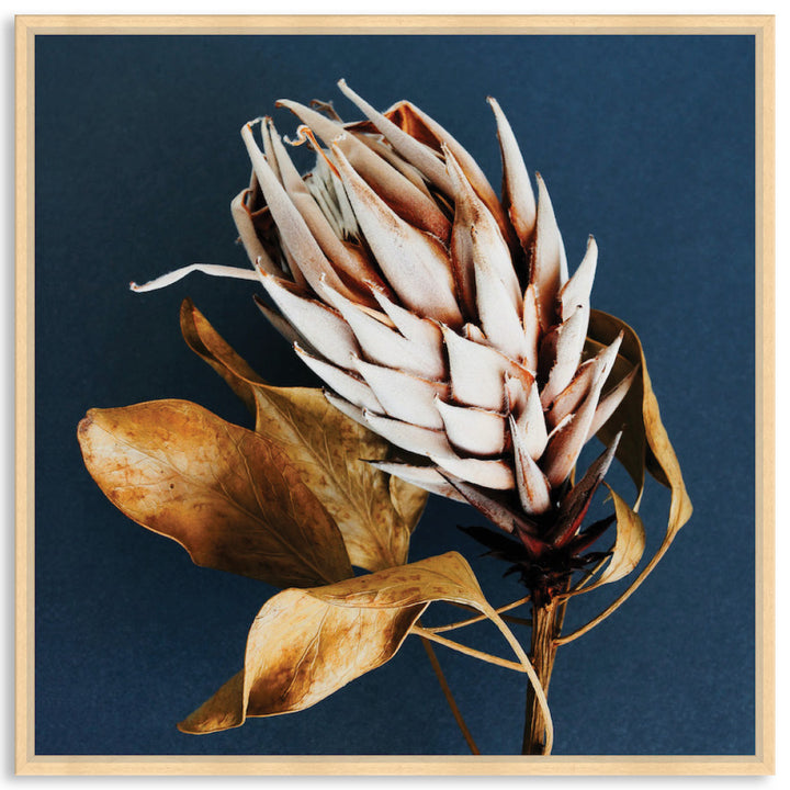 LUXE FLORAL II - Framed Canvas