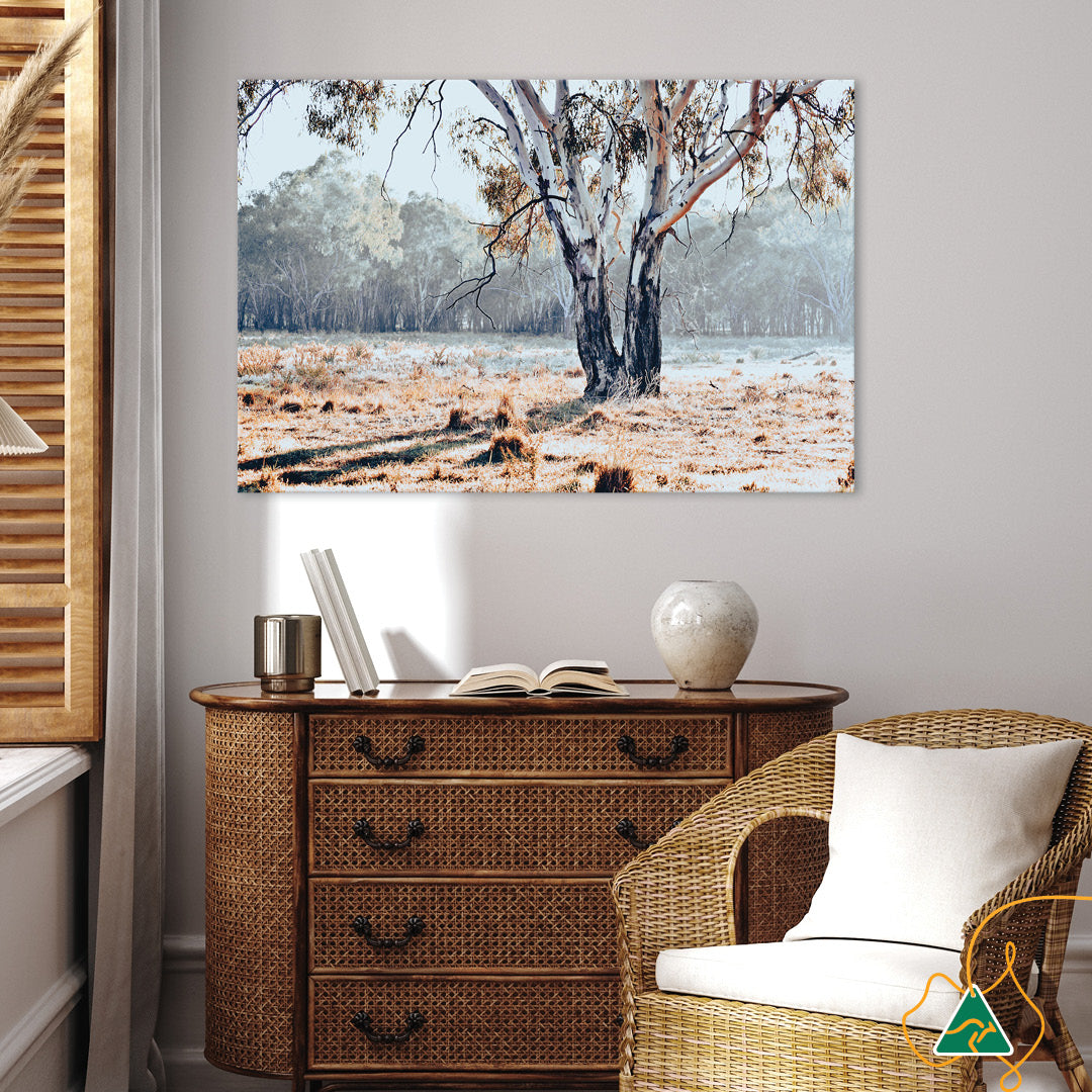 RIVER GUM I - Canvas Print