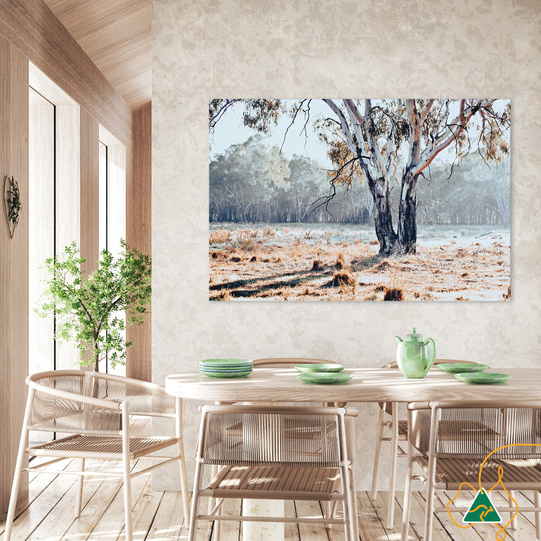RIVER GUM I - Canvas Print