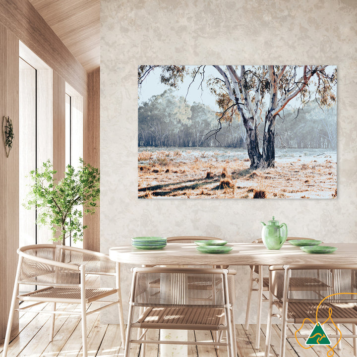 RIVER GUM I - Canvas Print
