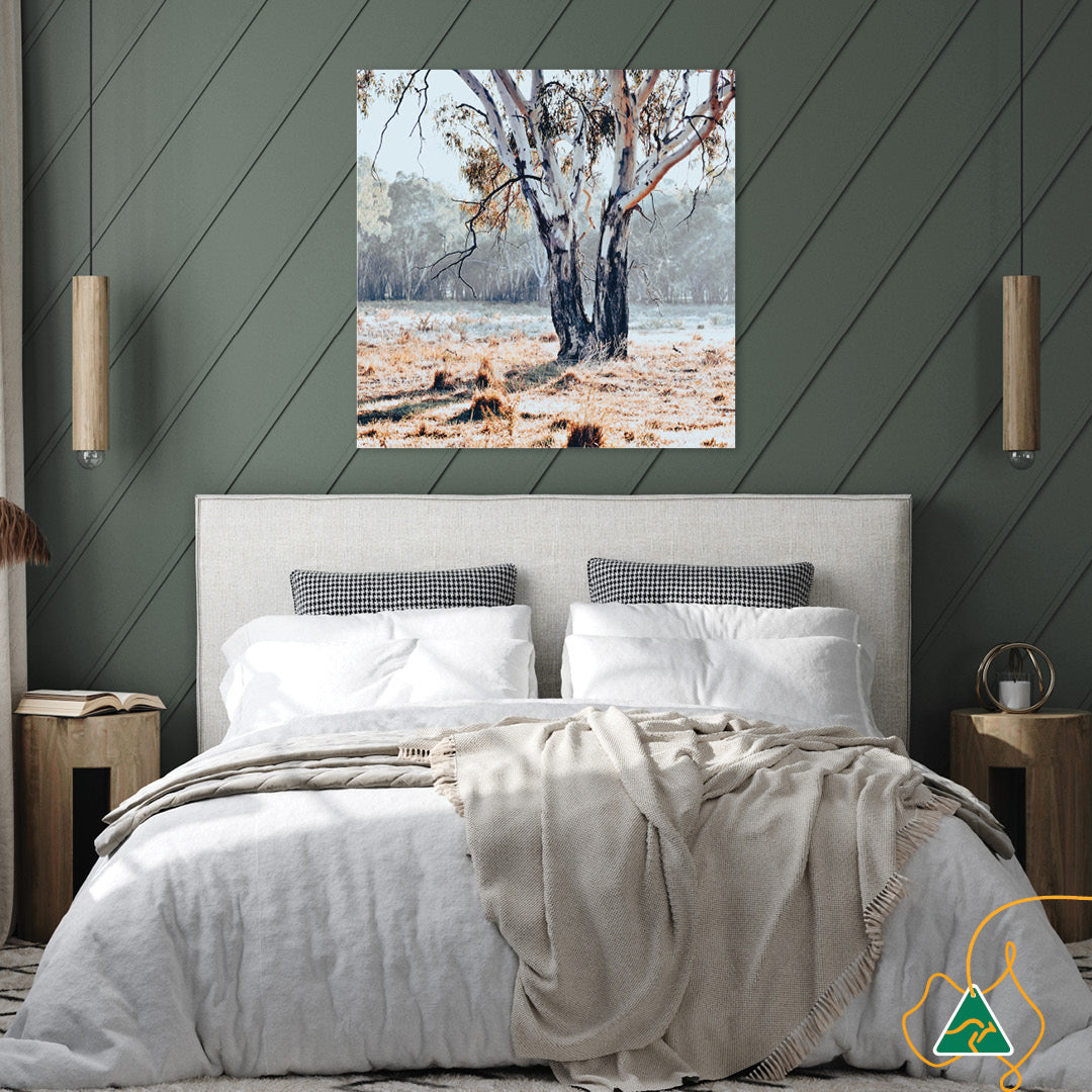 RIVER GUM II - Canvas Print