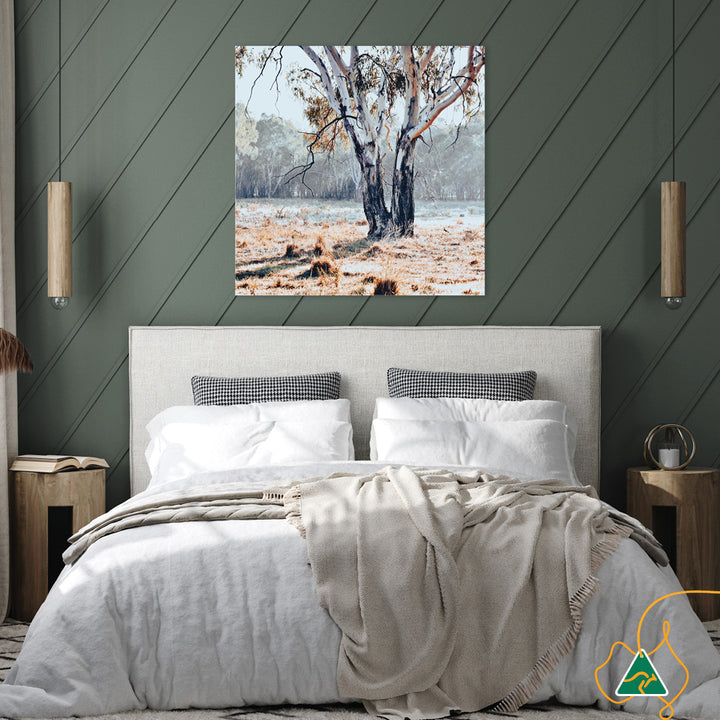 RIVER GUM II - Canvas Print