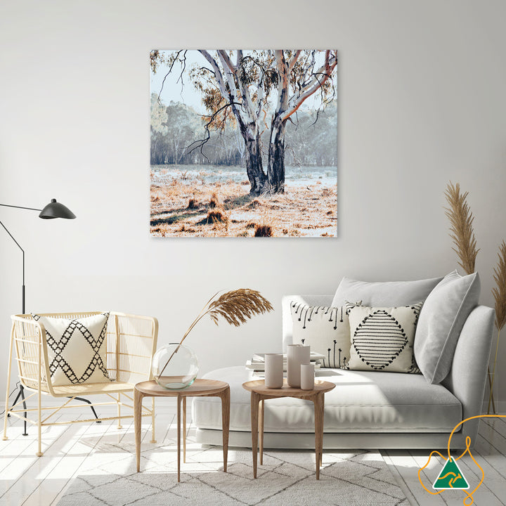 RIVER GUM II - Canvas Print