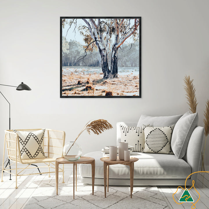 RIVER GUM II - Framed Canvas