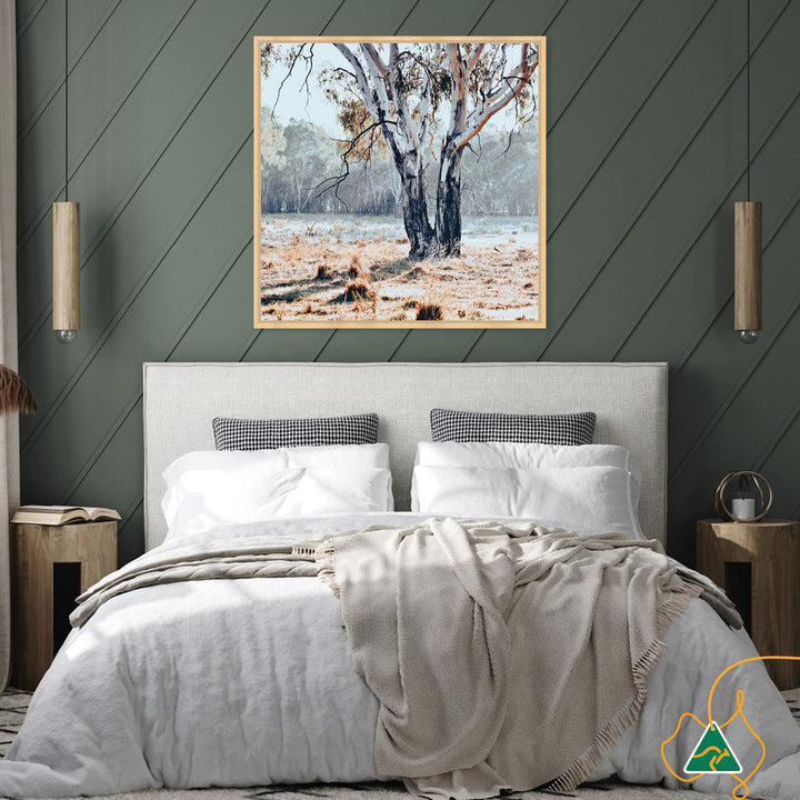 RIVER GUM II - Framed Canvas