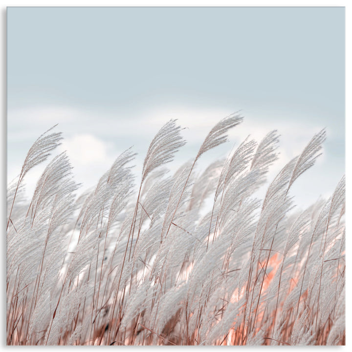 SILVER GRASS II - Canvas Print
