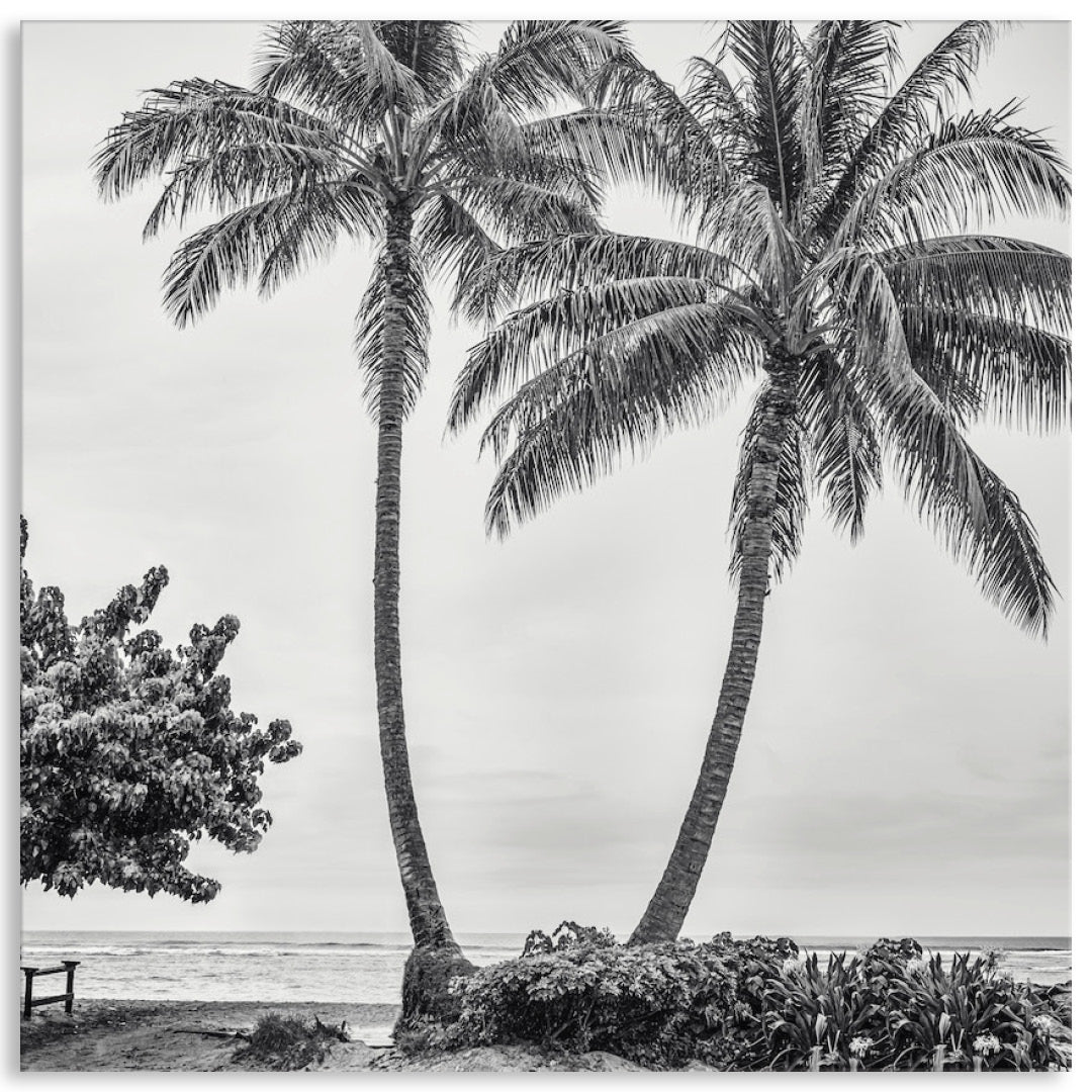 WAIKIKI BEACH II - Canvas Print