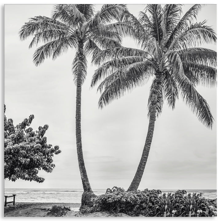 WAIKIKI BEACH II - Canvas Print