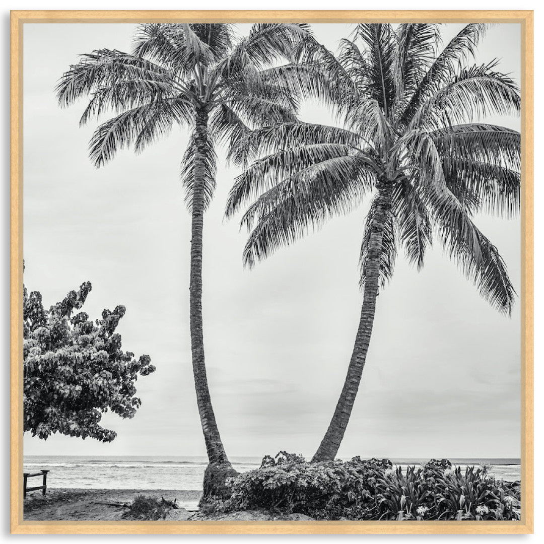 WAIKIKI BEACH II - Framed Canvas