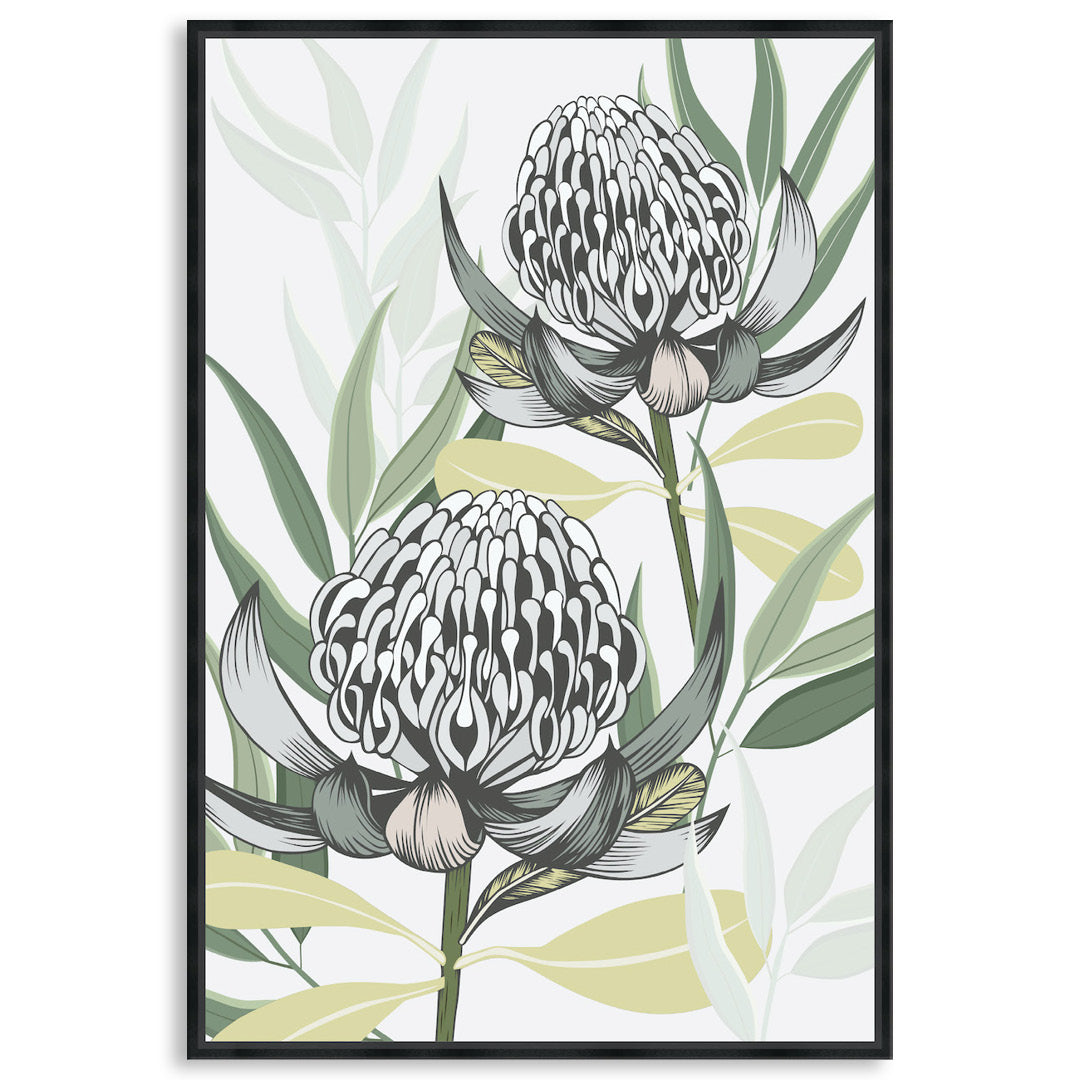 WHITE WARATAH I - Framed Canvas