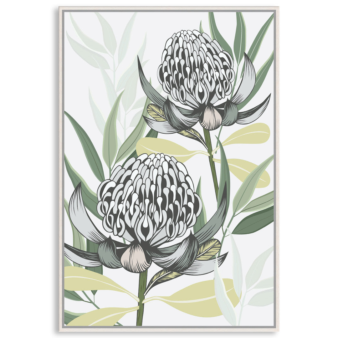 WHITE WARATAH I - Framed Canvas