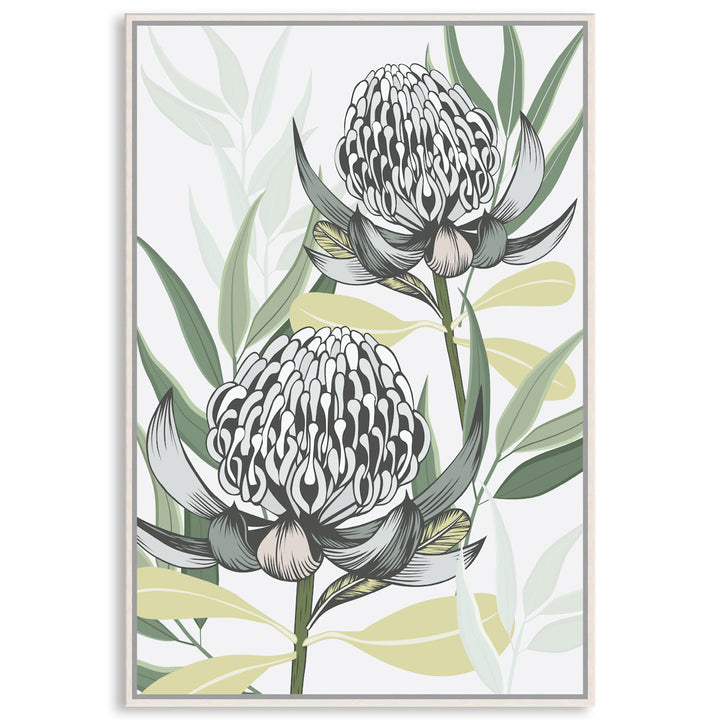 WHITE WARATAH I - Framed Canvas