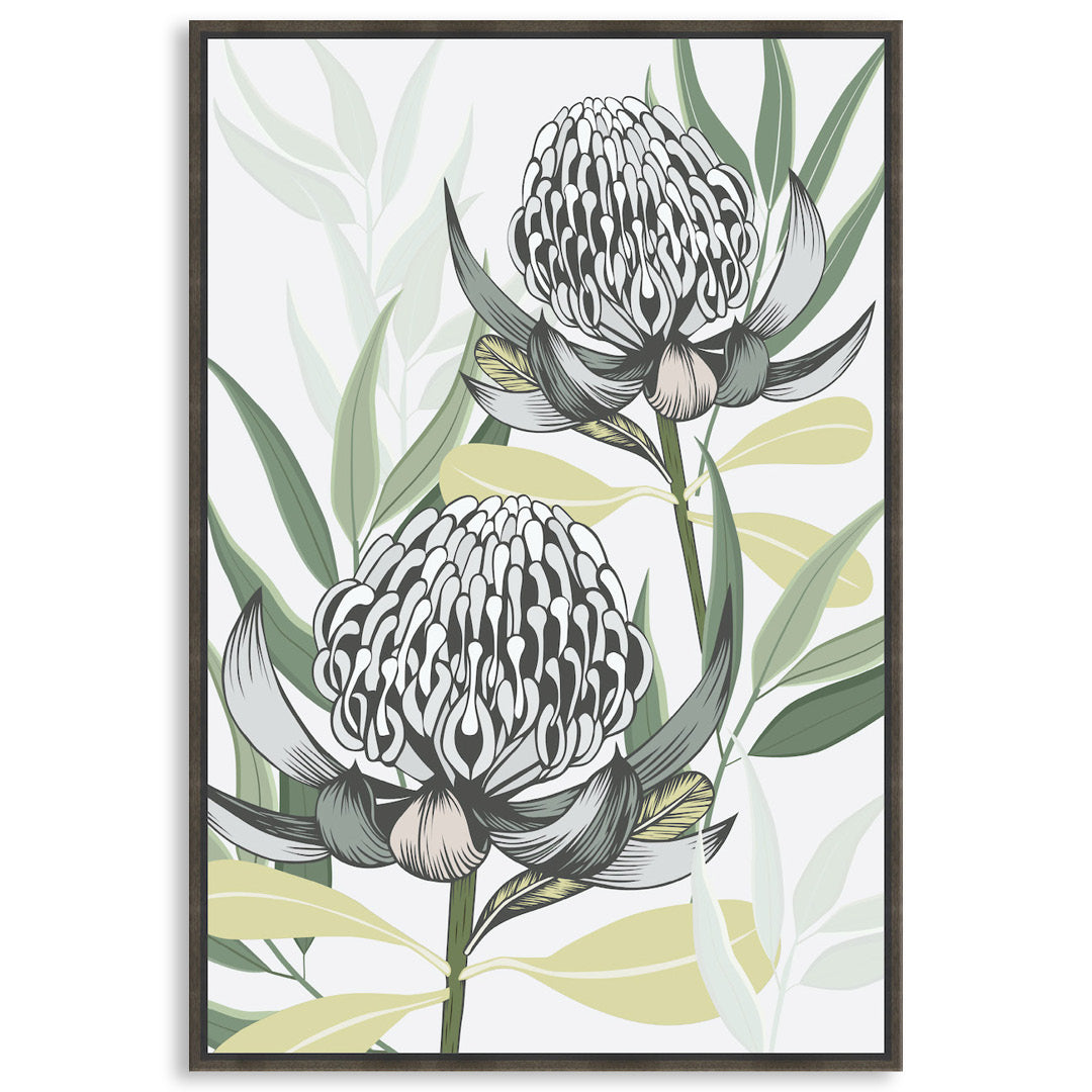 WHITE WARATAH I - Framed Canvas