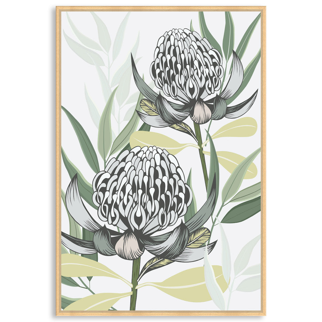 WHITE WARATAH I - Framed Canvas