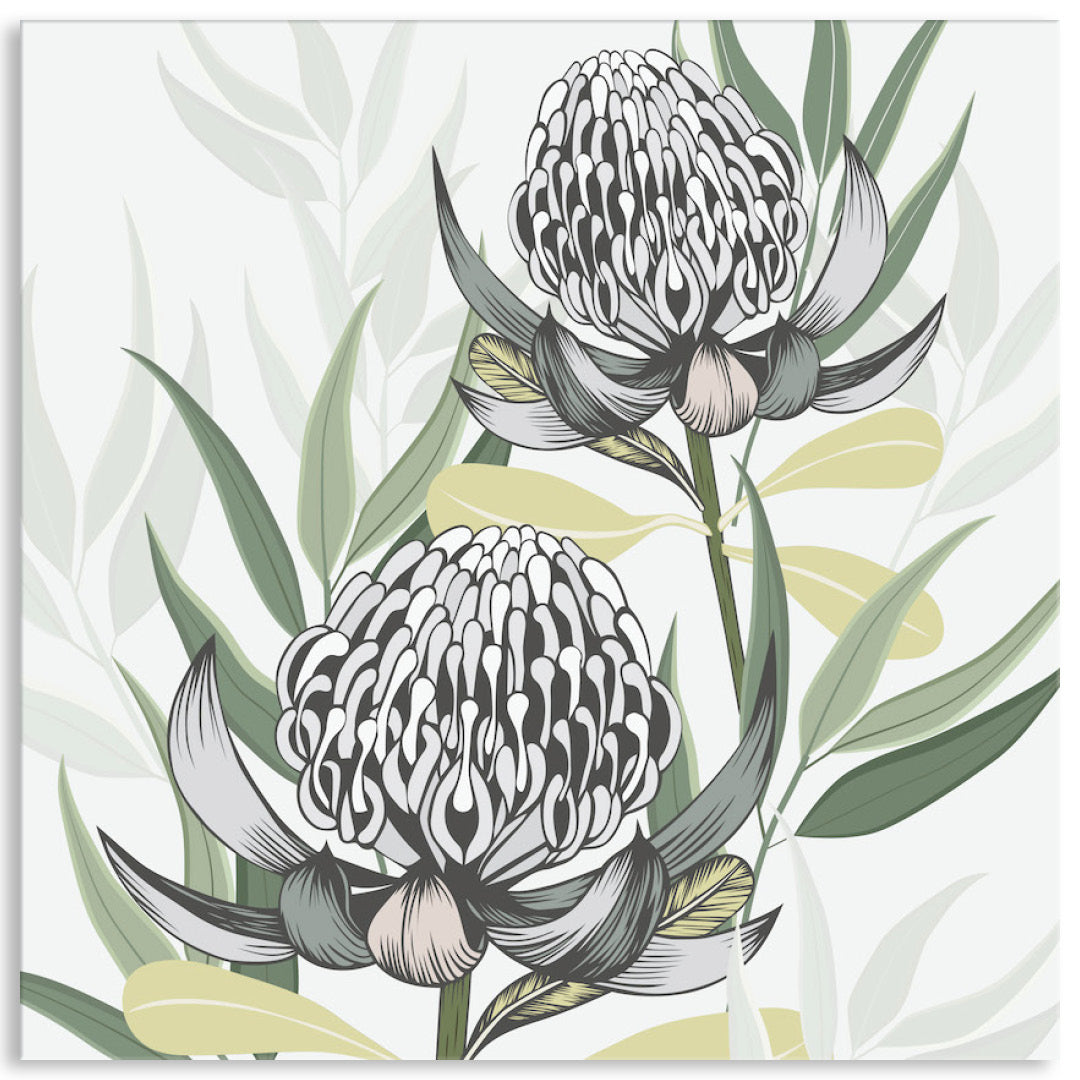 WHITE WARATAH II - Canvas Print