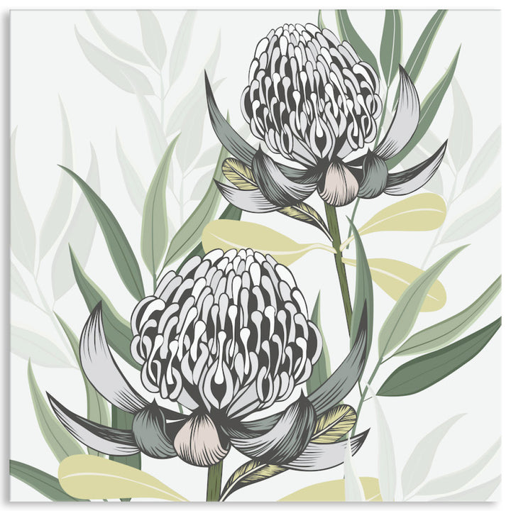 WHITE WARATAH II - Canvas Print