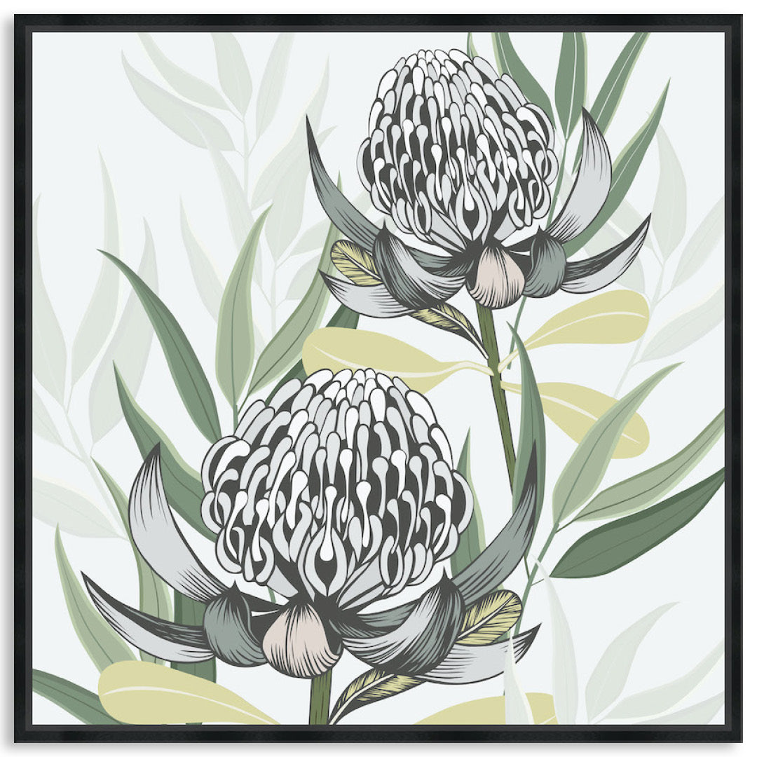 WHITE WARATAH II - Framed Canvas