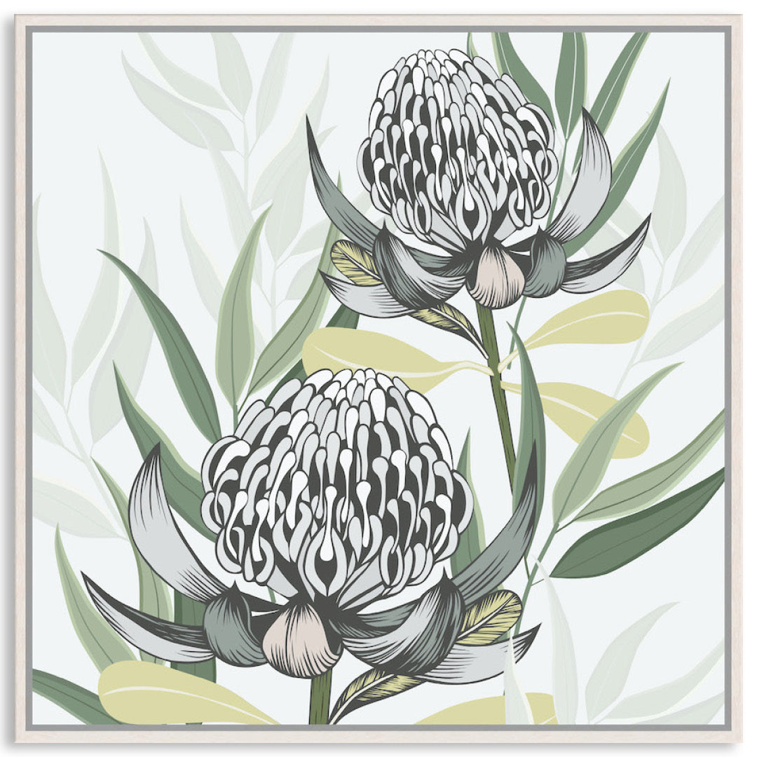 WHITE WARATAH II - Framed Canvas