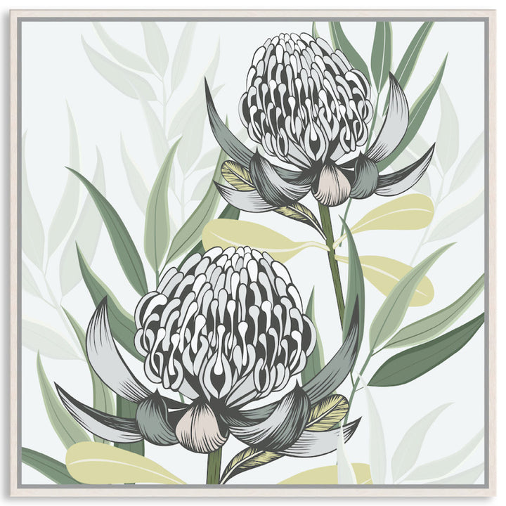 WHITE WARATAH II - Framed Canvas