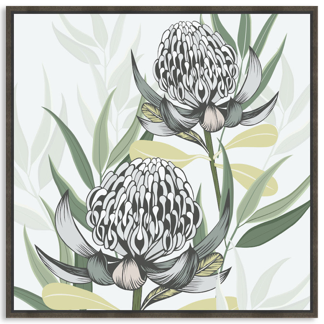WHITE WARATAH II - Framed Canvas
