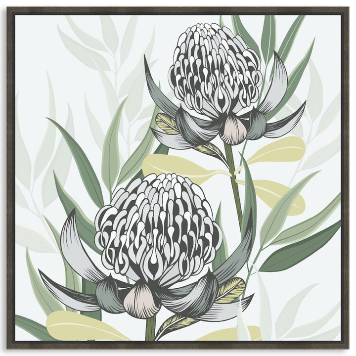 WHITE WARATAH II - Framed Canvas