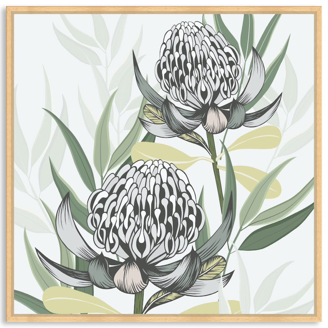 WHITE WARATAH II - Framed Canvas