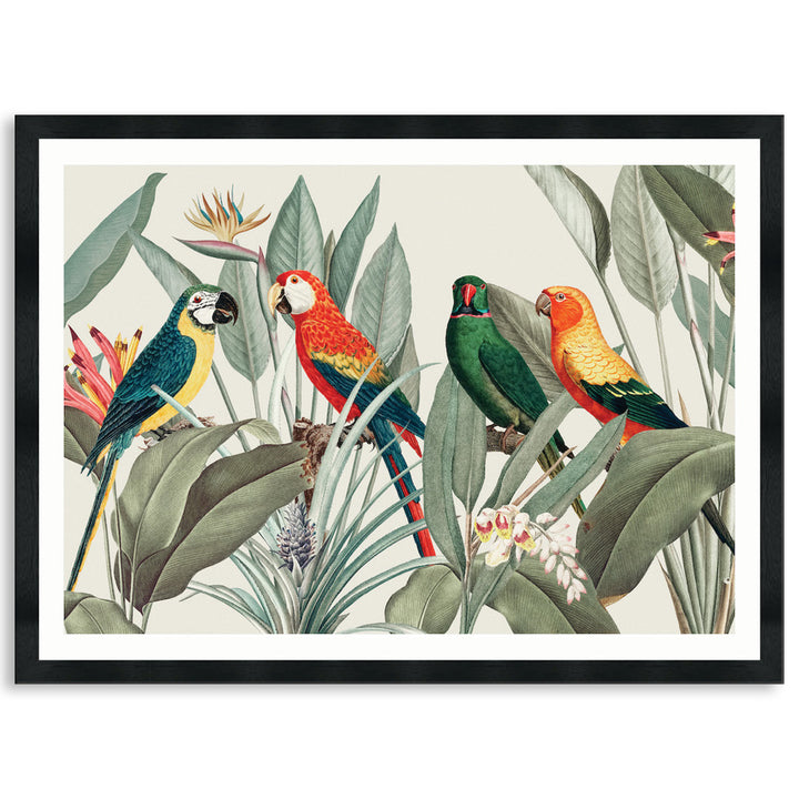 COLOURFUL MACAWS I - Framed Print