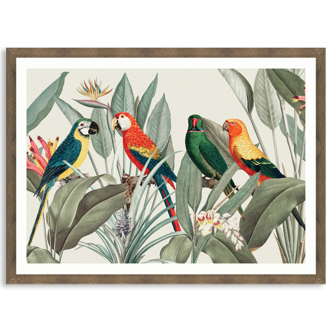 COLOURFUL MACAWS I - Framed Print