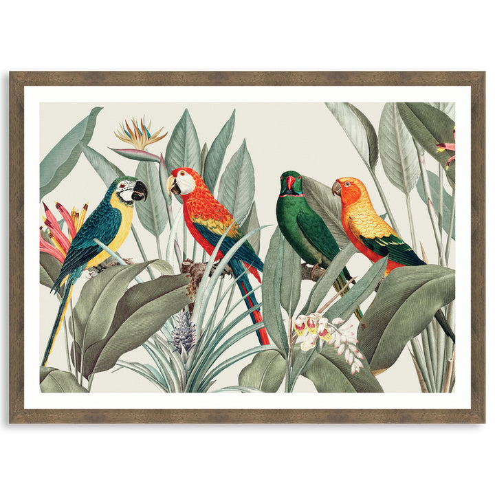 COLOURFUL MACAWS I - Framed Print