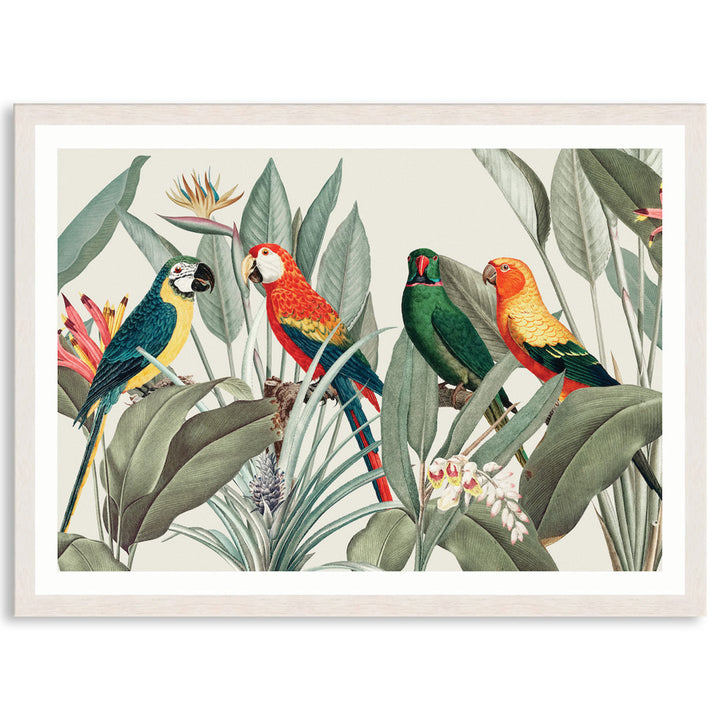 COLOURFUL MACAWS I - Framed Print