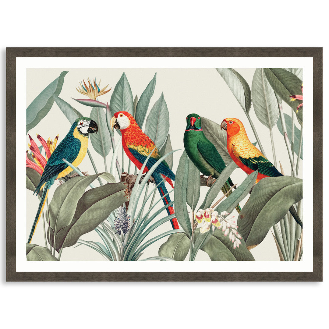 COLOURFUL MACAWS I - Framed Print