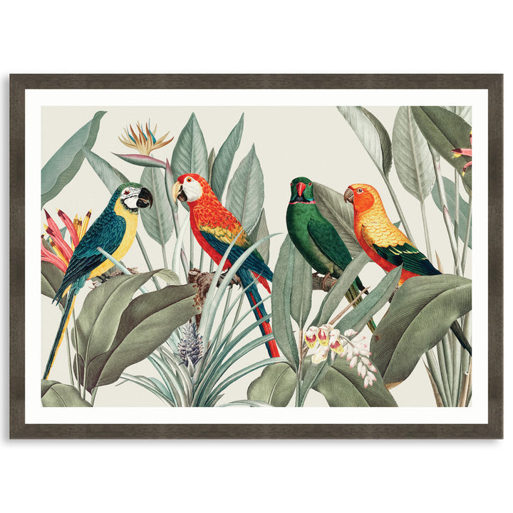 COLOURFUL MACAWS I - Framed Print