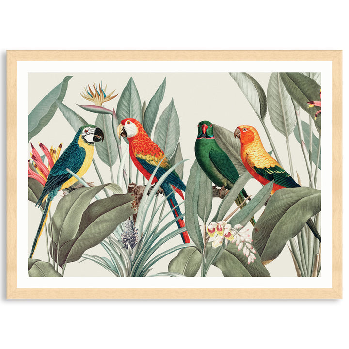 COLOURFUL MACAWS I - Framed Print