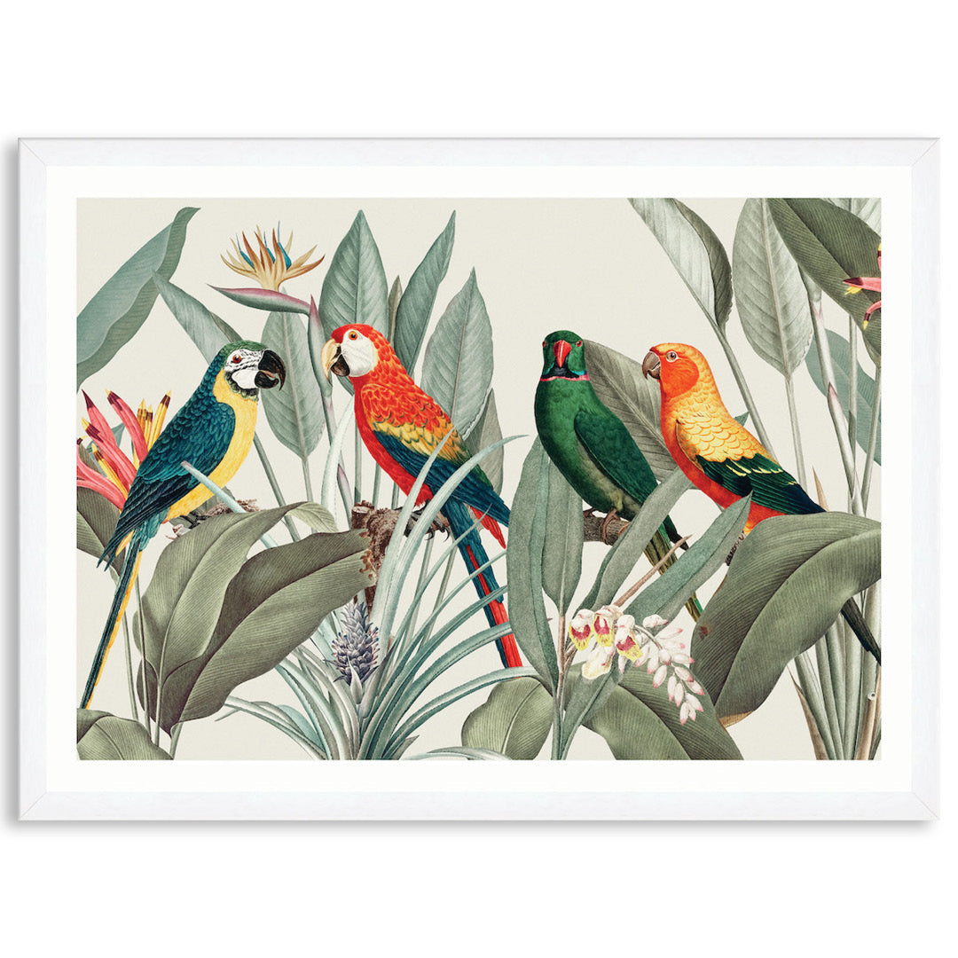 COLOURFUL MACAWS I - Framed Print
