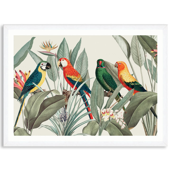 COLOURFUL MACAWS I - Framed Print