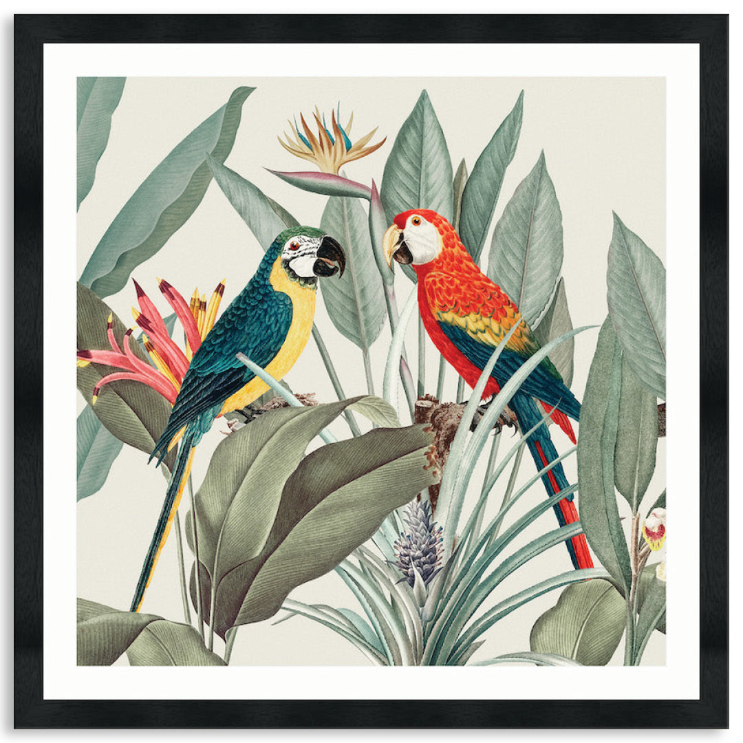 COLOURFUL MACAWS II - Framed Print