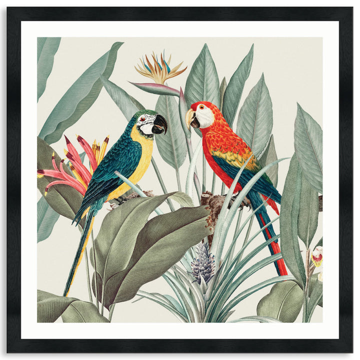 COLOURFUL MACAWS II - Framed Print