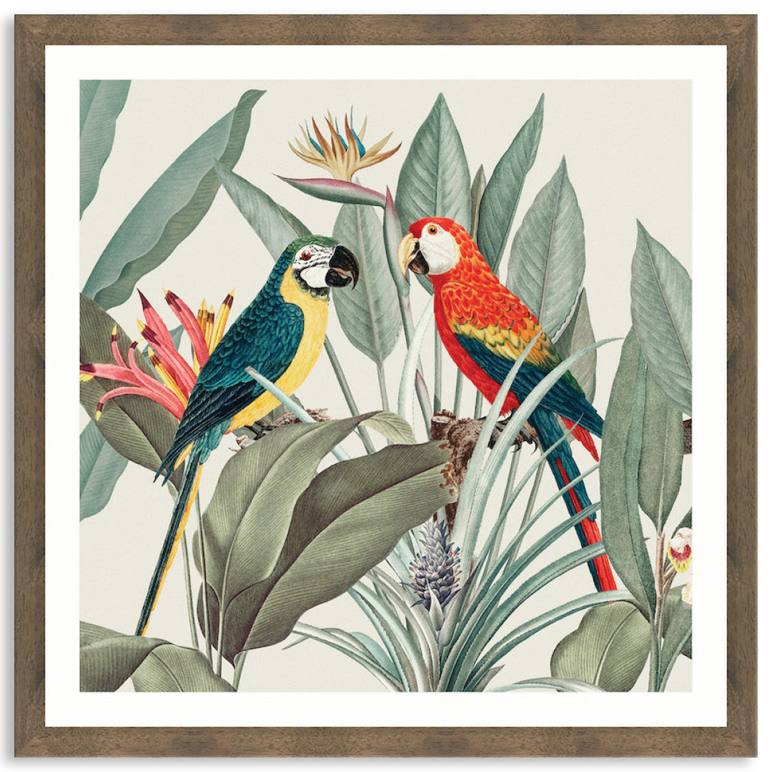 COLOURFUL MACAWS II - Framed Print