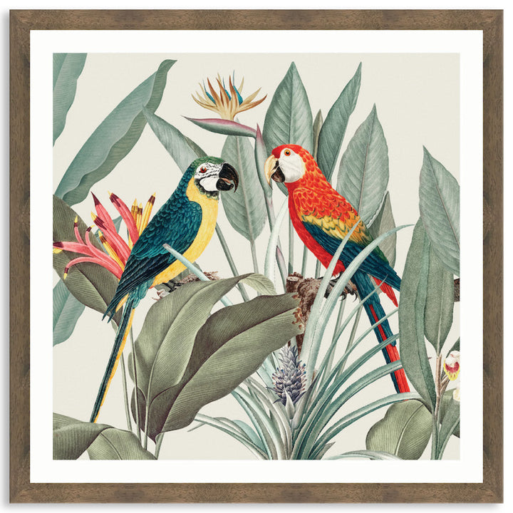 COLOURFUL MACAWS II - Framed Print