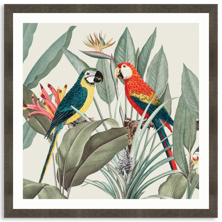COLOURFUL MACAWS II - Framed Print