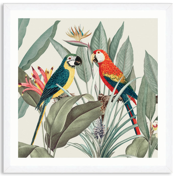 COLOURFUL MACAWS II - Framed Print