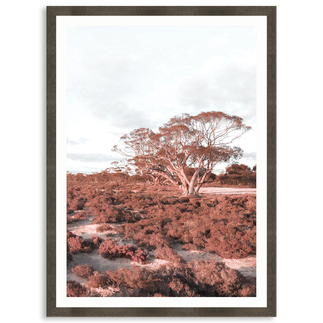 DESERT SUNSET III - Framed Print