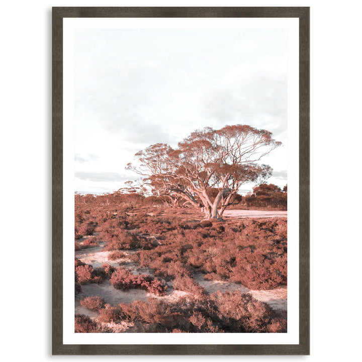 DESERT SUNSET III - Framed Print