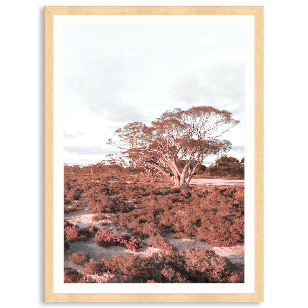 DESERT SUNSET III - Framed Print