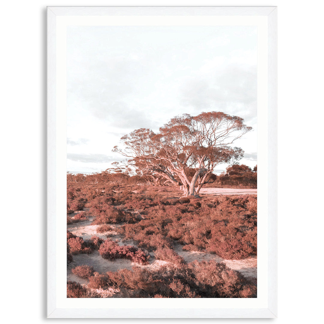 DESERT SUNSET III - Framed Print