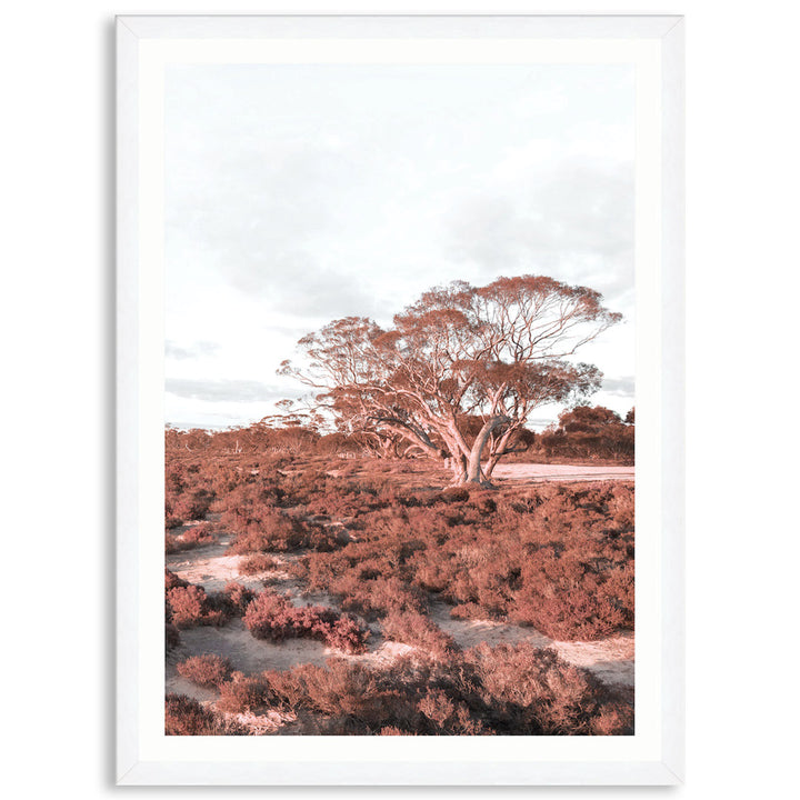 DESERT SUNSET III - Framed Print