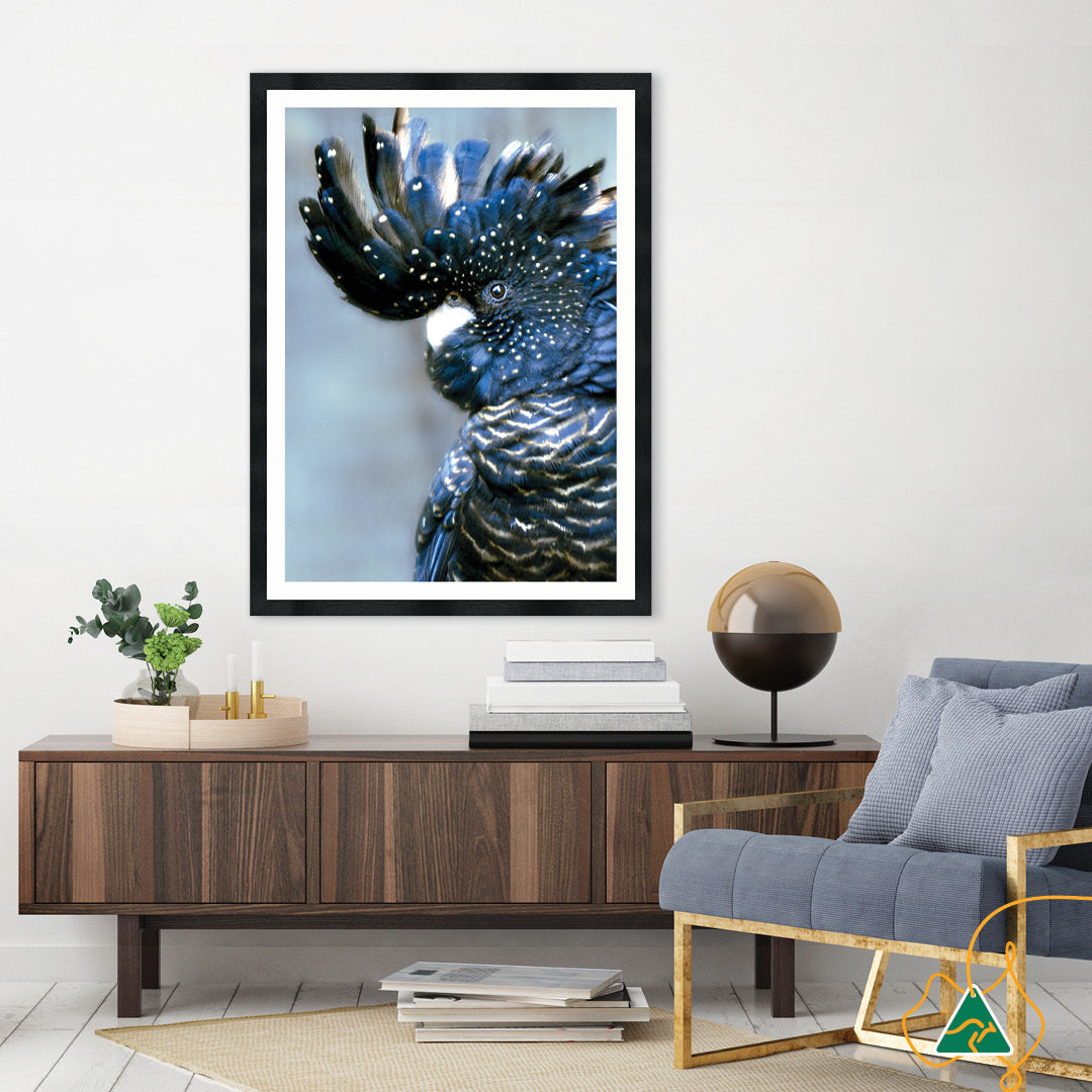 COCKATOO BLACK I - Framed Print